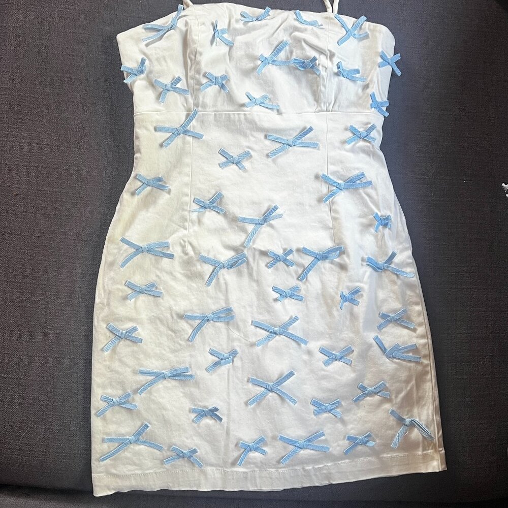 BHLDN Blue Bow Fitted Mini Dress